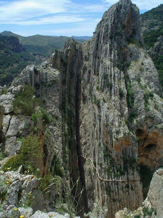 Casa Rural La Teja El Chorro Ngoại thất bức ảnh